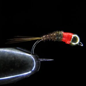 06 PT FLUO RED