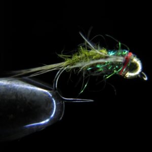 09 OLIVE SQUIRREL