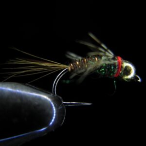 12 PHEASANT TAIL