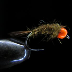14 PORTA SASSI ORANGE BEAD