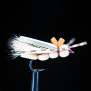 REINER'S POOKIES PEACH