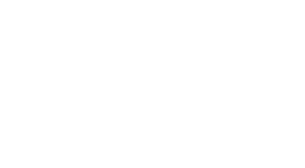 Pesca a Mosca secca, ninfa, emergenti, streamer