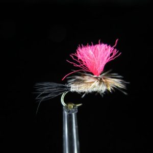 PARACHUTE BLUE DUN