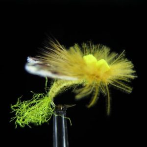 CDC PARACHUTE SEDGE