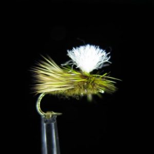 OLIVE PARACHURE SEDGE