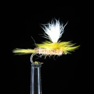 PARACHUTE MUSTARD