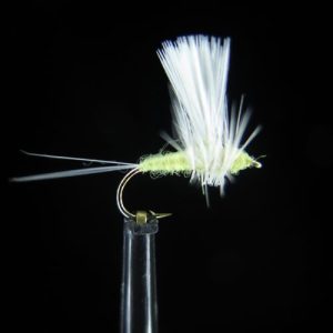 LIGHT OLIVE THORAX