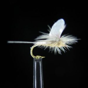 LIGHT BROWN PARACHUTE