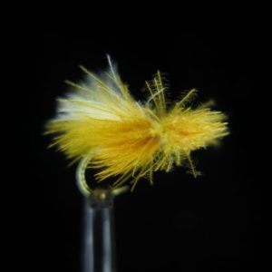 CDC SEDGE MUSTARD