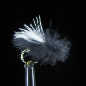 CDC SEDGE BLACK