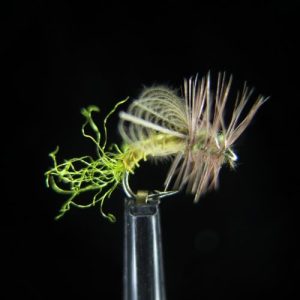 OLIVE EMERGER