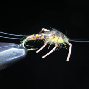FTW BIG NYMPH 16