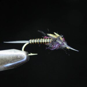 FTW BIG NYMPH 17