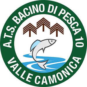Logo BACINO10 VALLECAMONICA