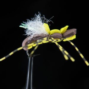 TAYLOR'S FAT ALBERT YELLOW