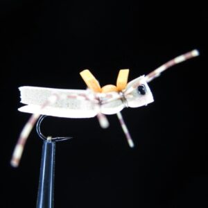 MORE OR LESS HOPPER PEACH