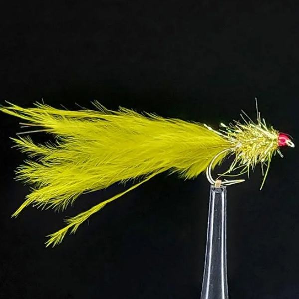 FTW SPECIAL LAKE OLIVE GOLD