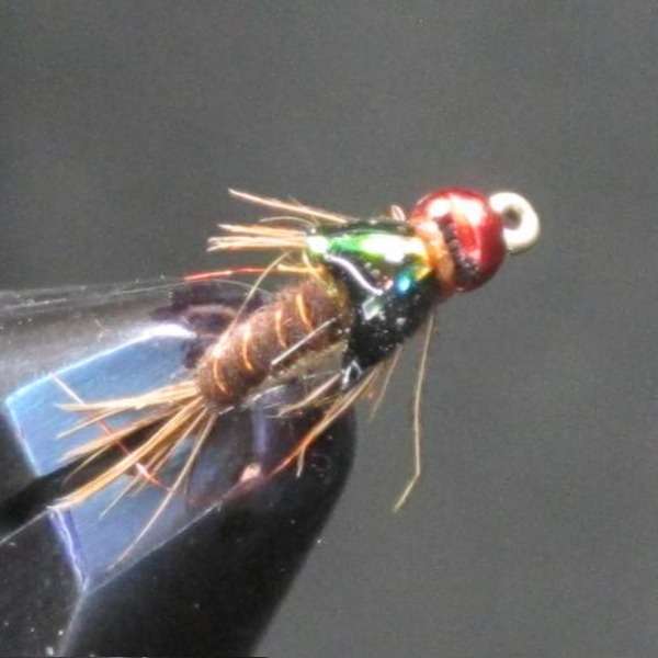BEAVER HOLE SPECIAL PMD 01