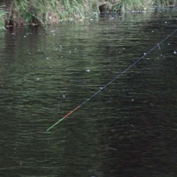 UV LINE PESCA A FILO