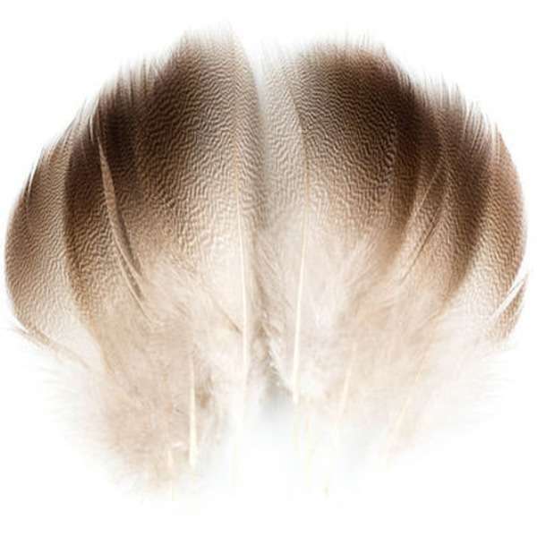MALLARD BRONSE SPEY LARGE SELECT