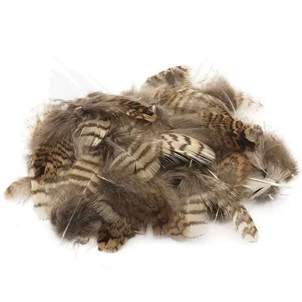 PIUME DI BECCACCIA