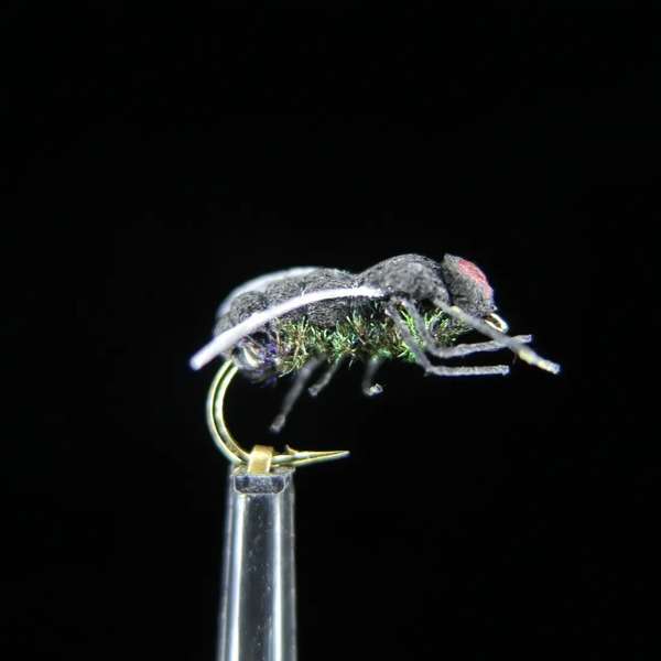 FTW BLACK FLY