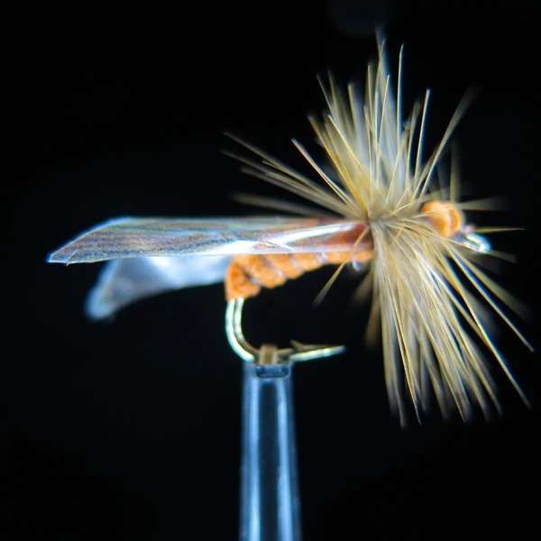 FTW BROWN CADDIS