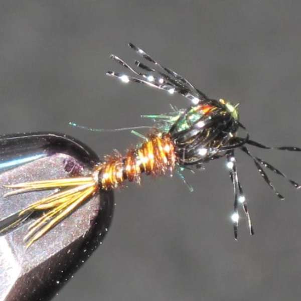 TRINA'S BUBBLEBACK EMERGER BWO