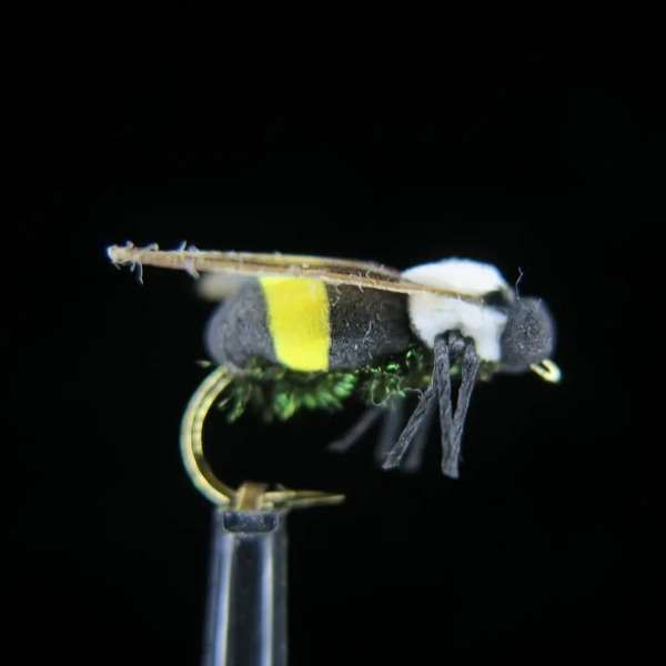 FTW BUMBLE BEE
