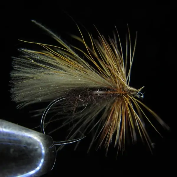 CDC HACKLED SEDGE BROWN