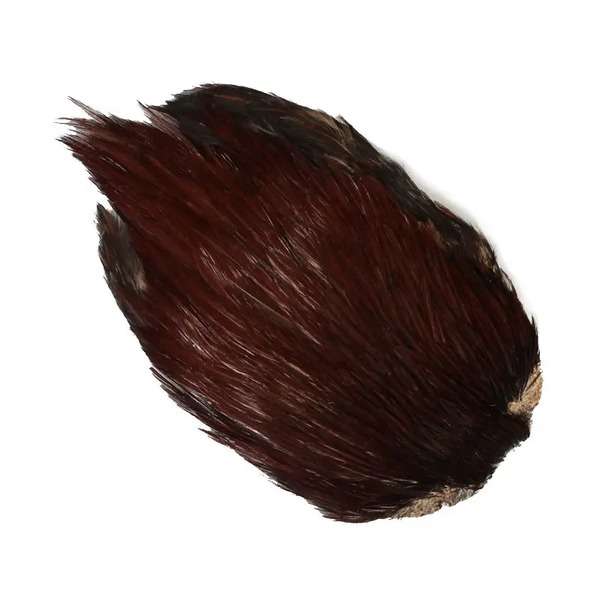 COLLO DI GALLO INDIANO 1° GRADO