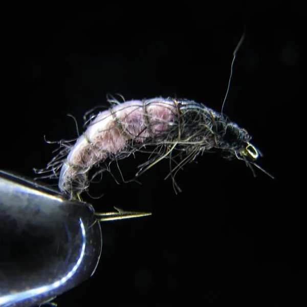 CZECH NYMPH PINK
