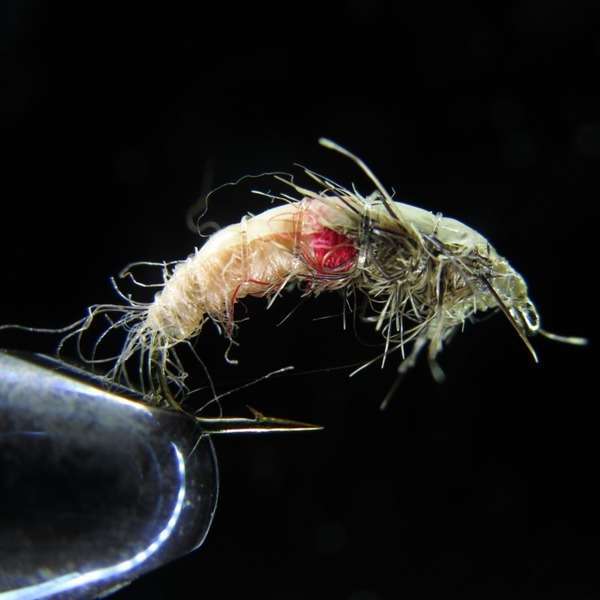 CZECH NYMPH TAN PINK