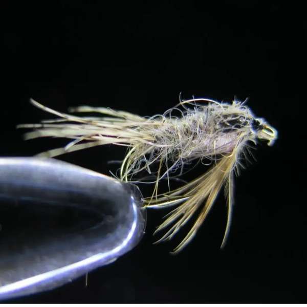 EUM 079 Irom Dun Nymph