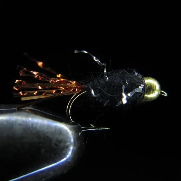 EUM 086 BLACK ATTRACTOR