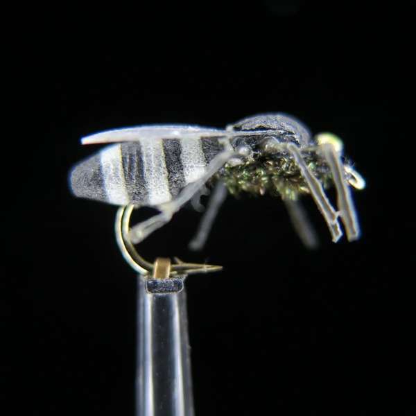 FTW GAD FLY