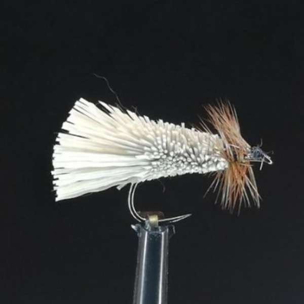 GODDARD SEDGE