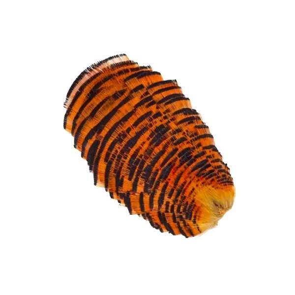 FTW GOLDEN PHEASANT TIPPED