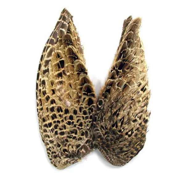HEN PHEASANT WINGS