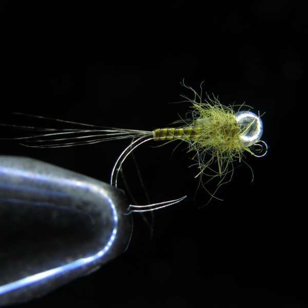JIG QUILL GOLDEN OLIVE