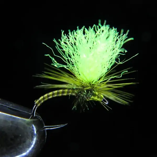 QUILL HAMMER GOLDEN OLIVE