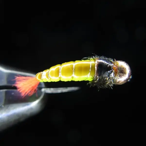 LARVALACE YELLOW