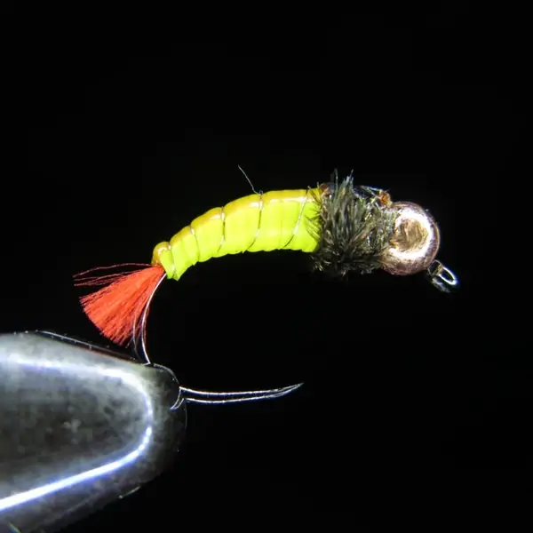 LARVALACE YELLOW