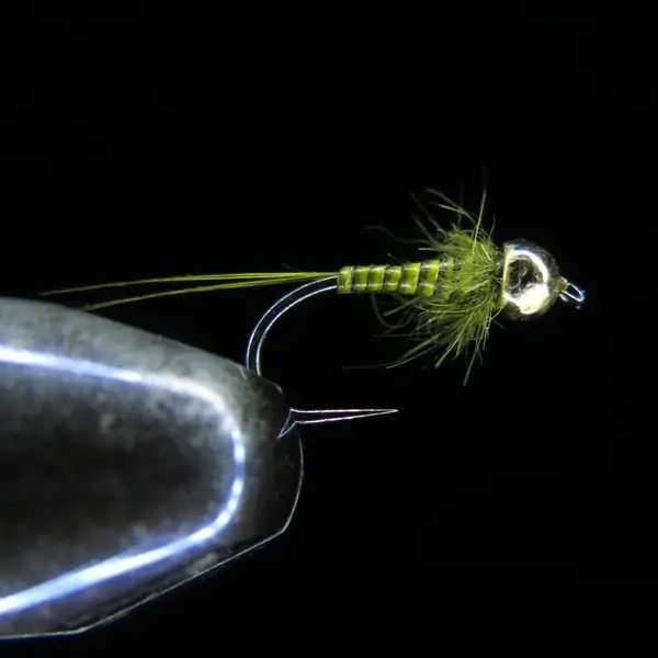  LITTLE QUILL OLIVE