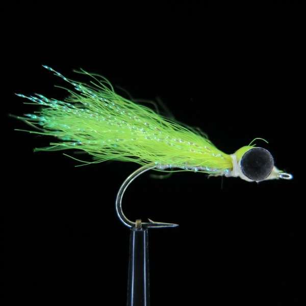 Streamer from Bone Fish and Cheppie 08