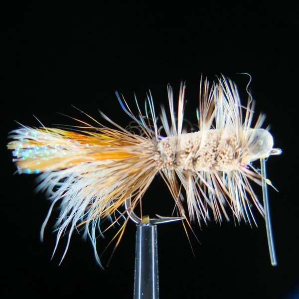 Streamer from Bone Fish and Cheppie 13