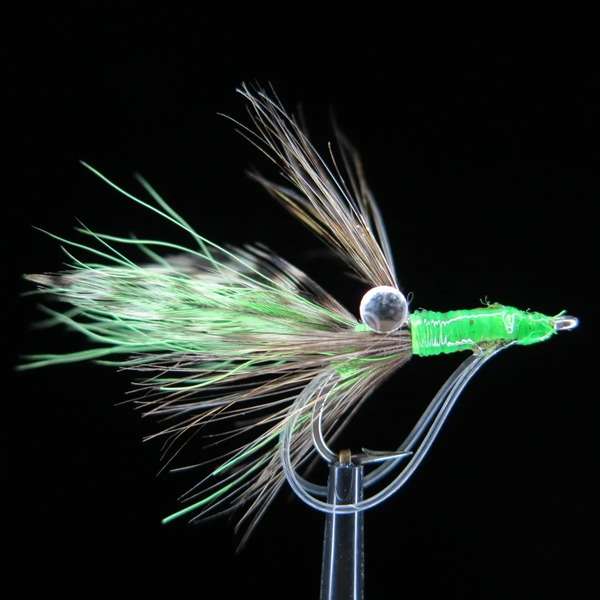 Streamer from Bone Fish and Cheppie 16