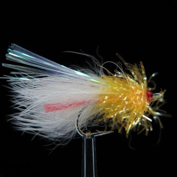 Streamer from Bone Fish and Cheppie 28