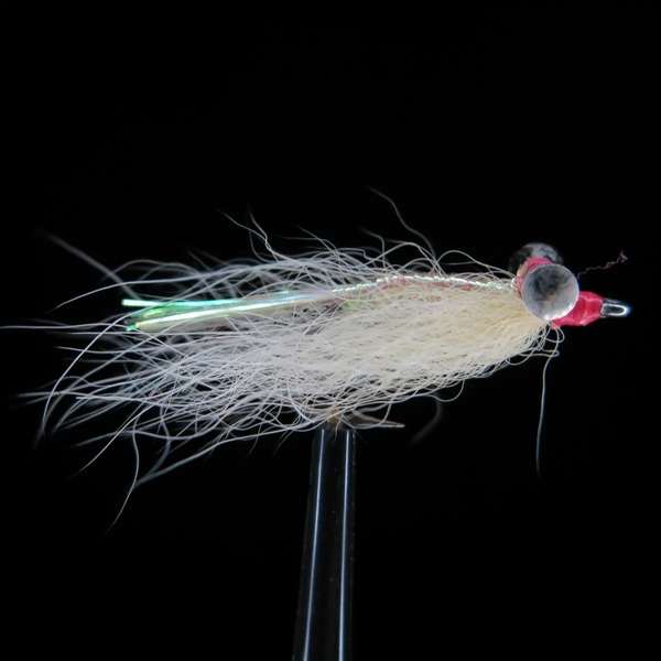 Streamer from Bone Fish and Cheppie 34