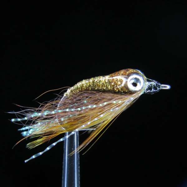 Streamer from Bone Fish and Cheppie 35
